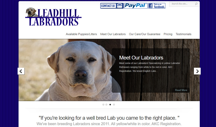 Lead Hill Labs website Image